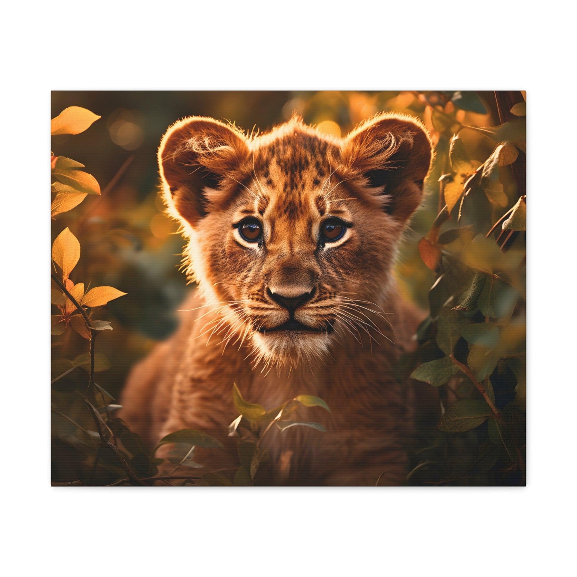 Baby Lion Cub Print Animal Nature Art Safari Nursery Canvas Gallery Wraps Baby Lion Print Large Canvas Art Animal Wall Art Lover Gift - Giftsmojo