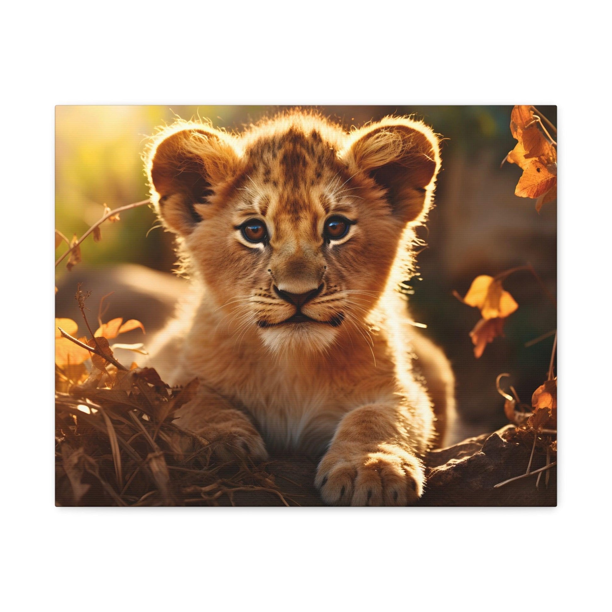 Baby Lion Cub Print Animal Nature Art Safari Nursery Canvas Gallery Wraps Baby Lion Print Large Canvas Art Animal Wall Art Lover Gift - Giftsmojo