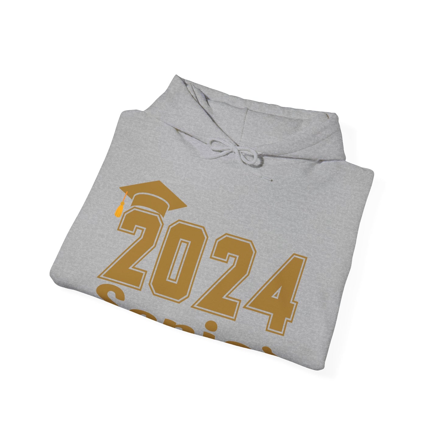 Class of 2024 Senior Hooded Sweatshirt Senior Shirt Senior Gift