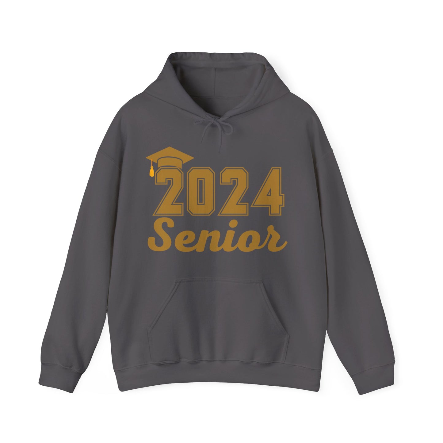 Class of 2024 Senior Hooded Sweatshirt Senior Shirt Senior Gift