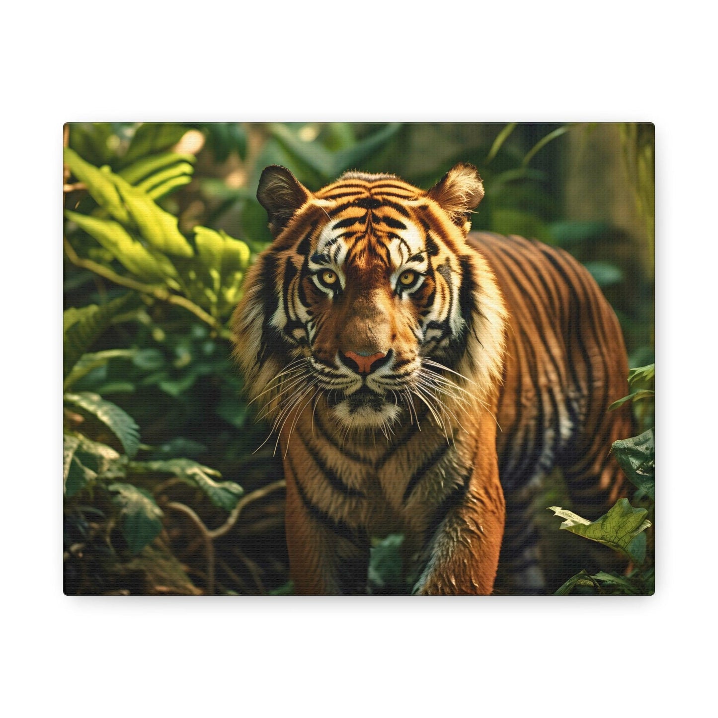 Tiger In Nature Art Canvas Gallery Wraps Tiger Print Large Canvas Art Animal Wall Art minimalist Wall Art Lover Gift - Giftsmojo