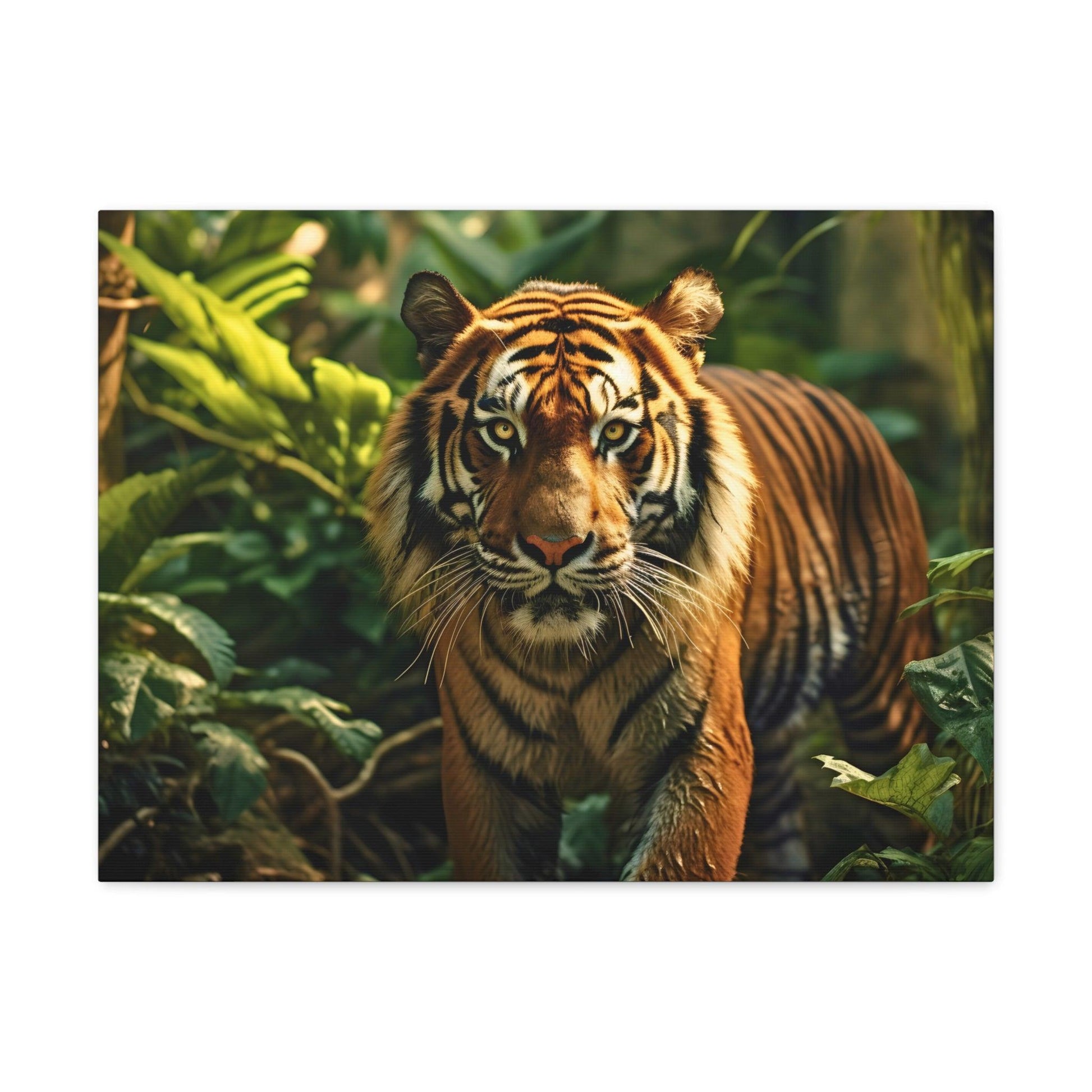 Tiger In Nature Art Canvas Gallery Wraps Tiger Print Large Canvas Art Animal Wall Art minimalist Wall Art Lover Gift - Giftsmojo