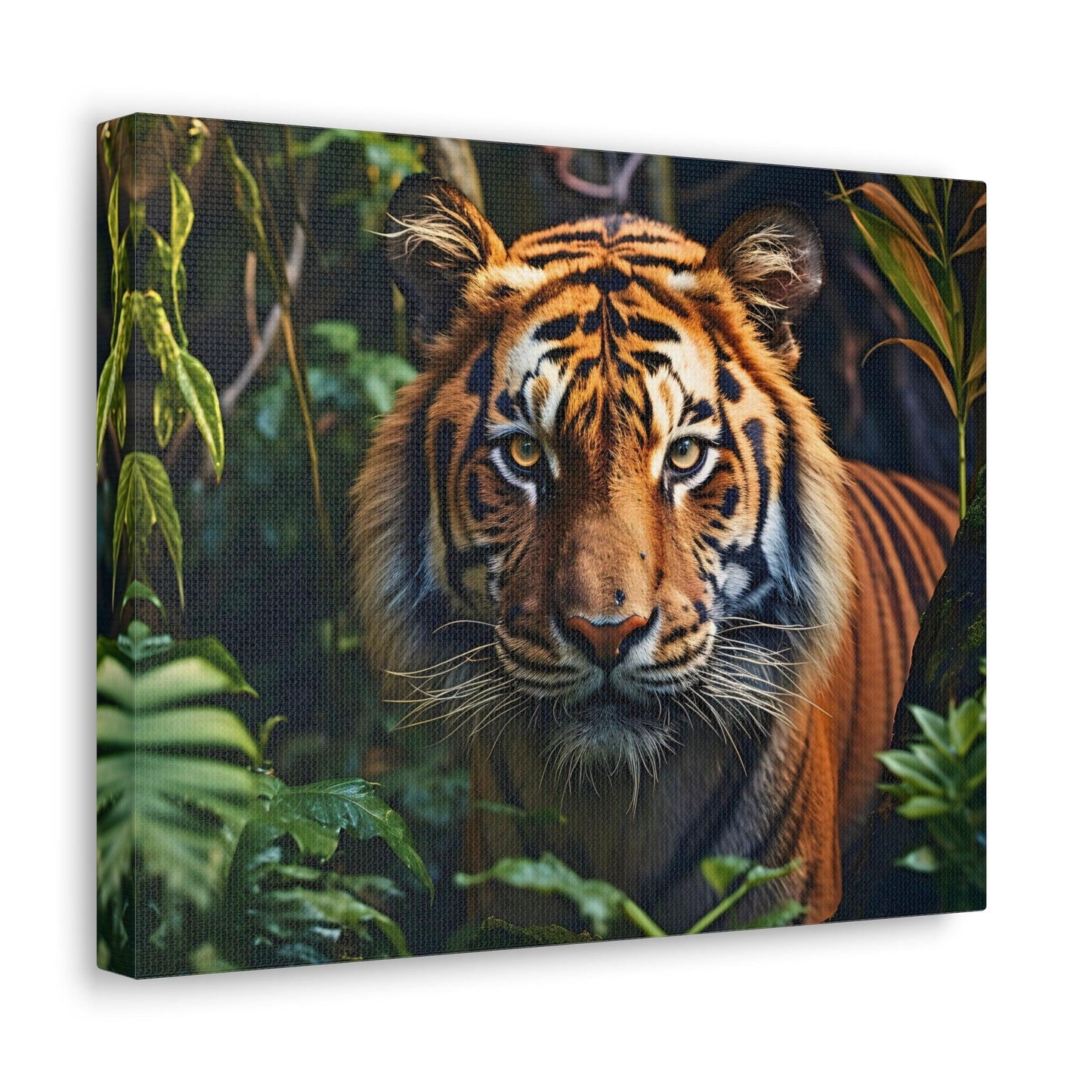 Tiger In Nature Art Canvas Gallery Wraps Tiger Print Large Canvas Art Animal Wall Art minimalist Wall Art Lover Gift - Giftsmojo