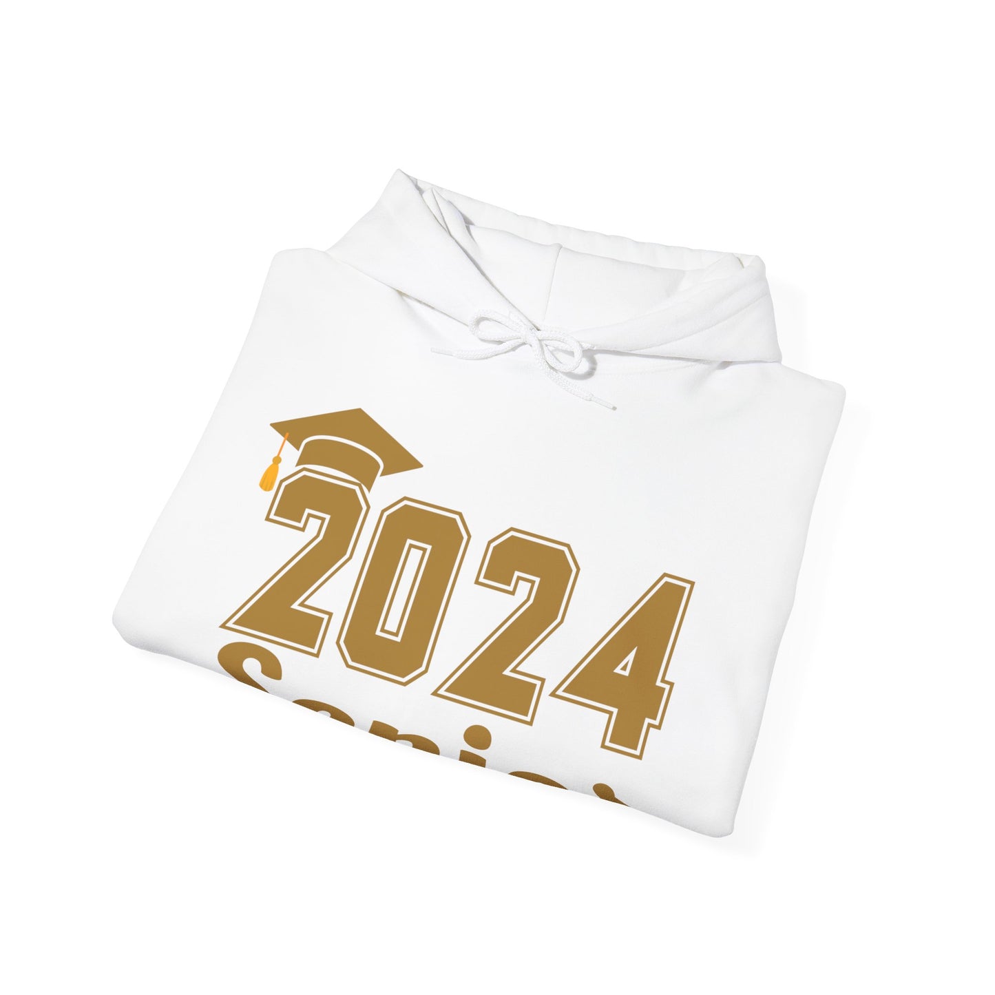 Class of 2024 Senior Hooded Sweatshirt Senior Shirt Senior Gift