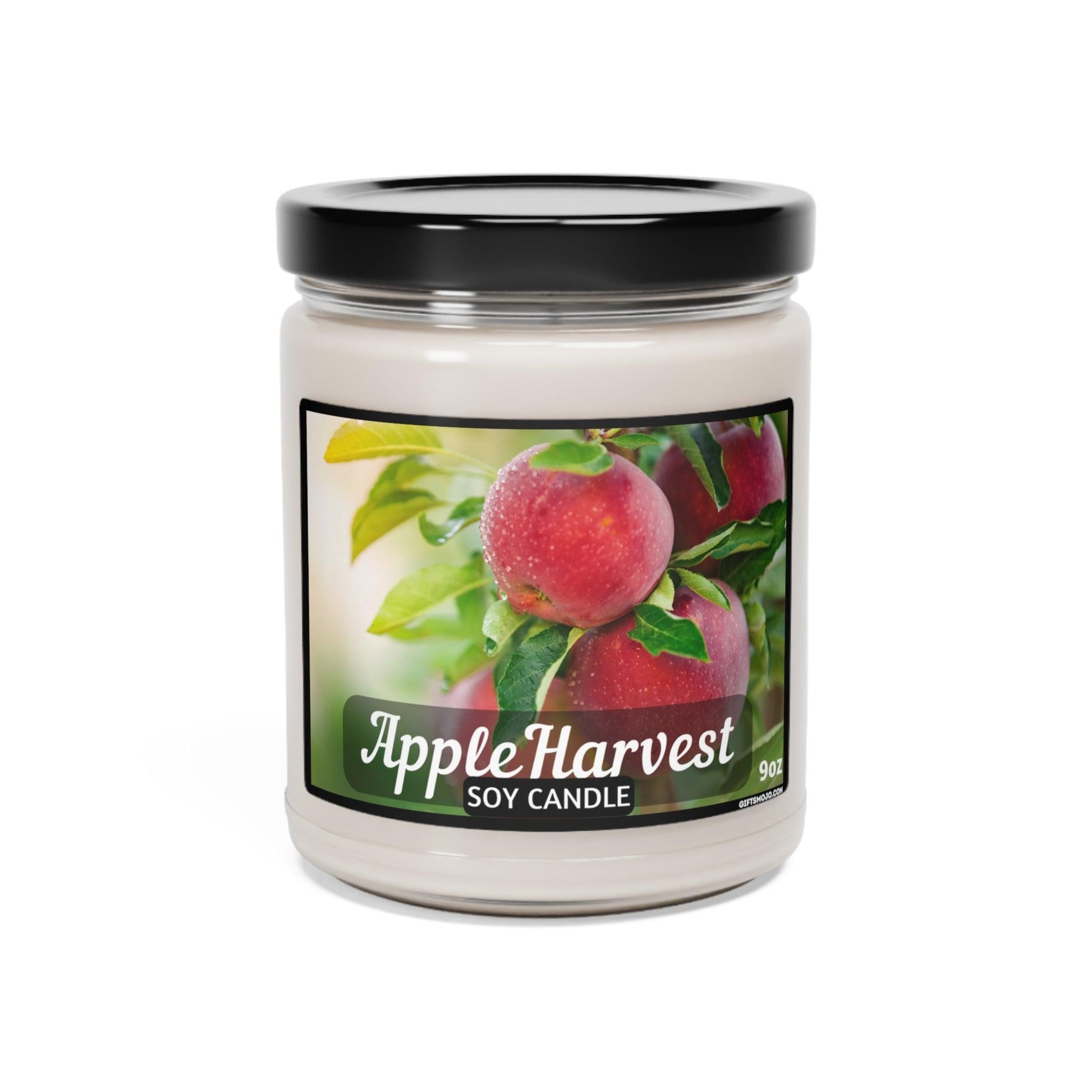 Scented Soy Candle, Apple Harvest, Cinnamon Vanilla, Clean Cotton, Sea Salt Orchid, White Sage Lavender, 9oz, - Giftsmojo