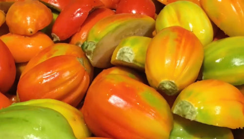 Garden Egg Seeds (African Eggplant, Aubergine, Brinjal) – Authentic African Vegetable for Home Gardens