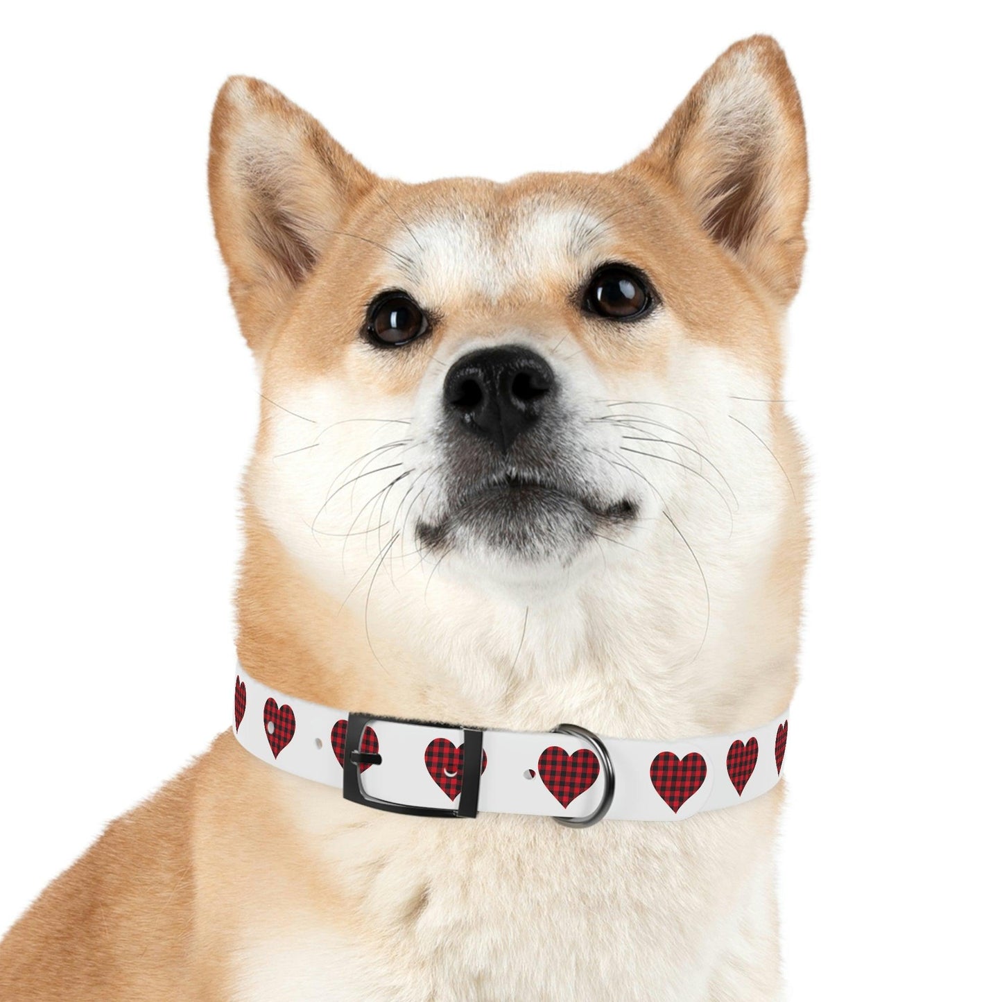 Dog Collar - Giftsmojo