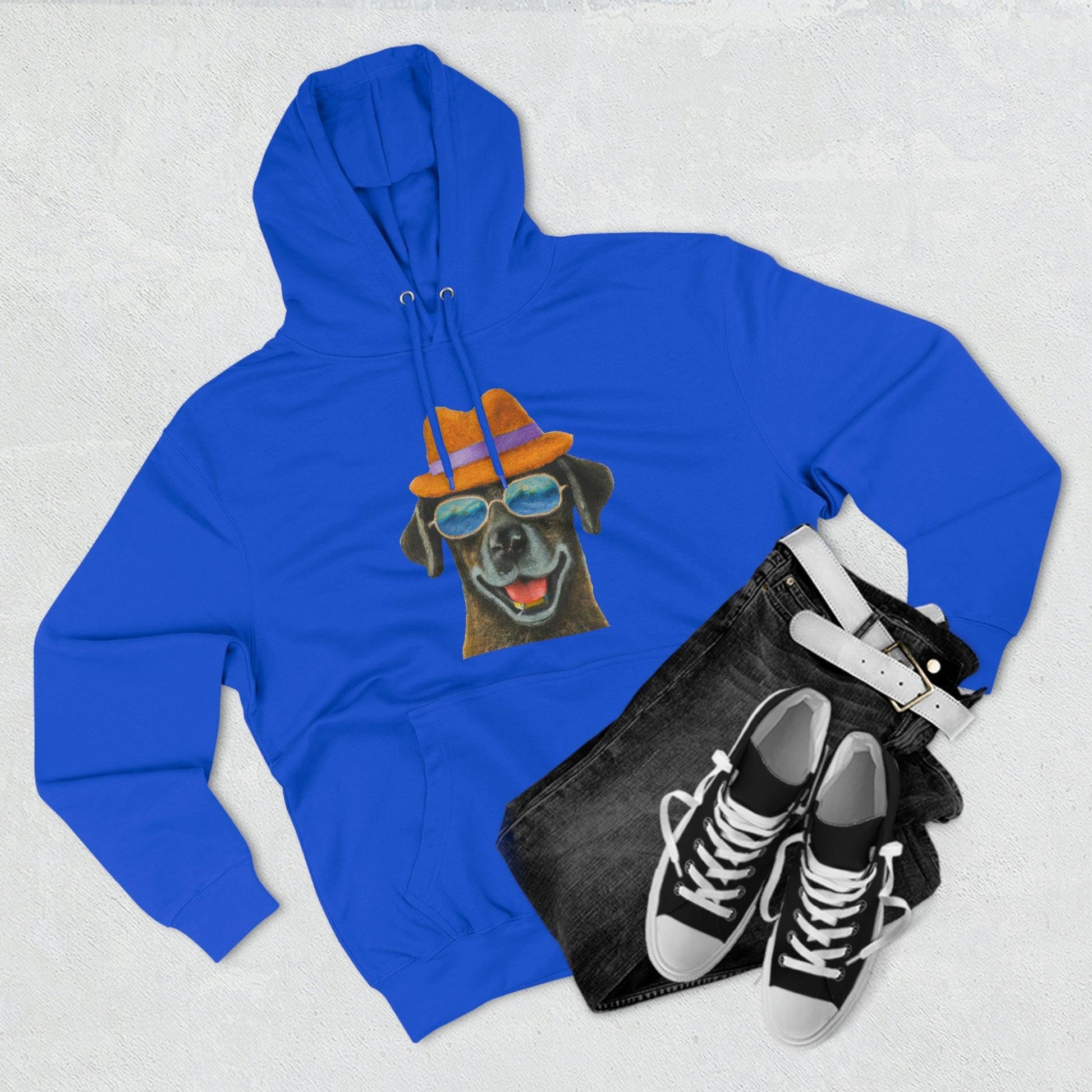 Dog at the beach wearing a hat and sunglasses painted arts Premium Pullover Hoodie - Giftsmojo