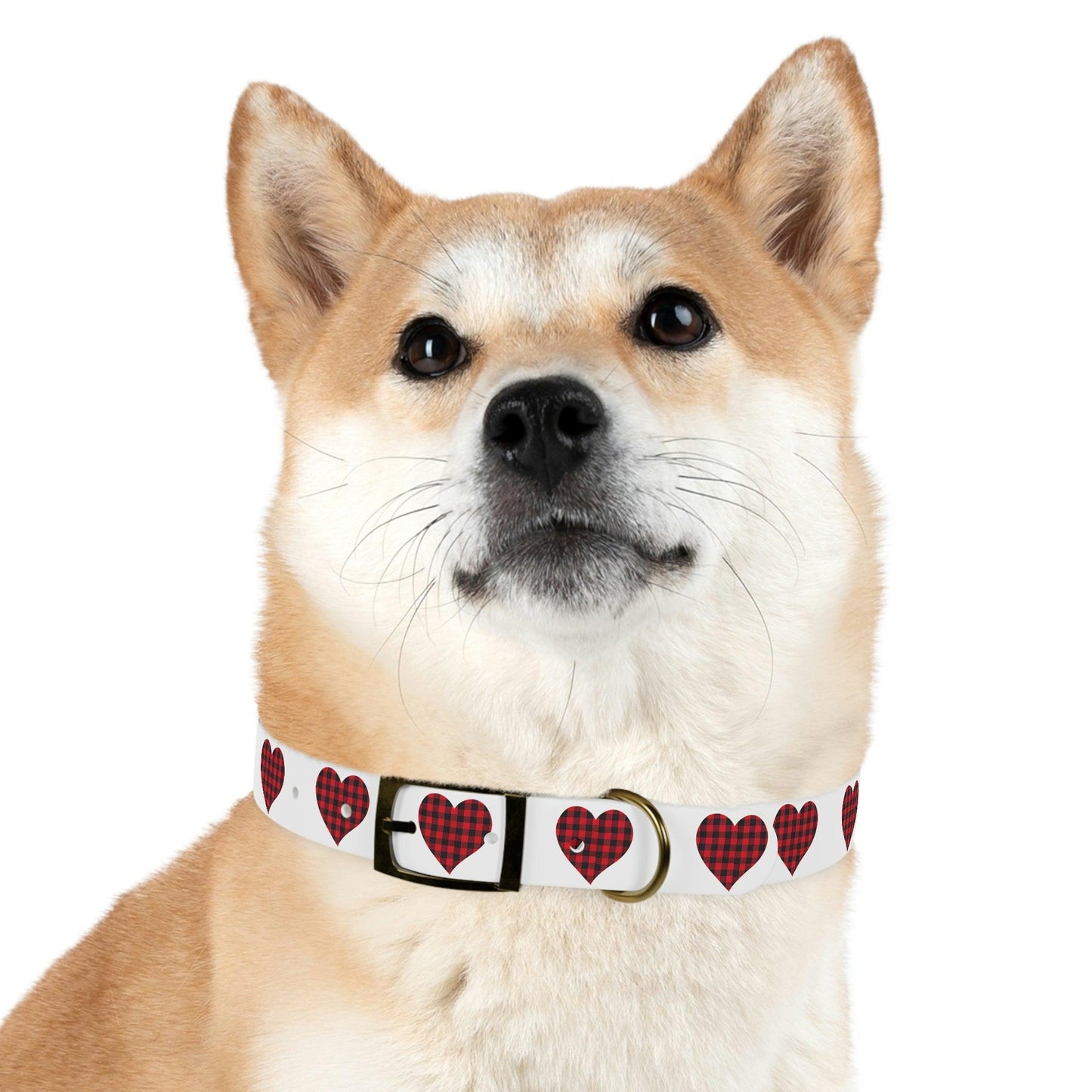 Dog Collar - Giftsmojo