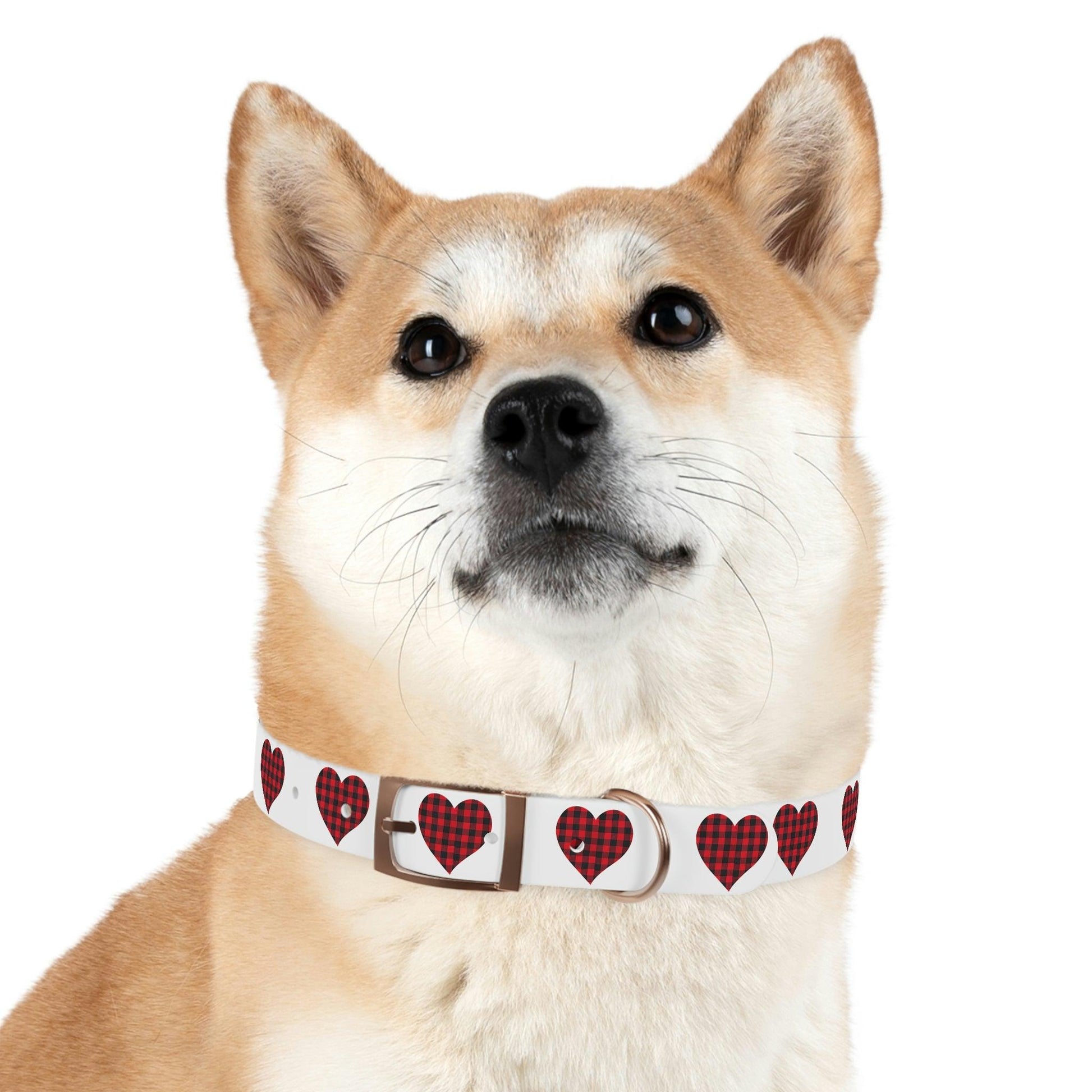 Dog Collar - Giftsmojo