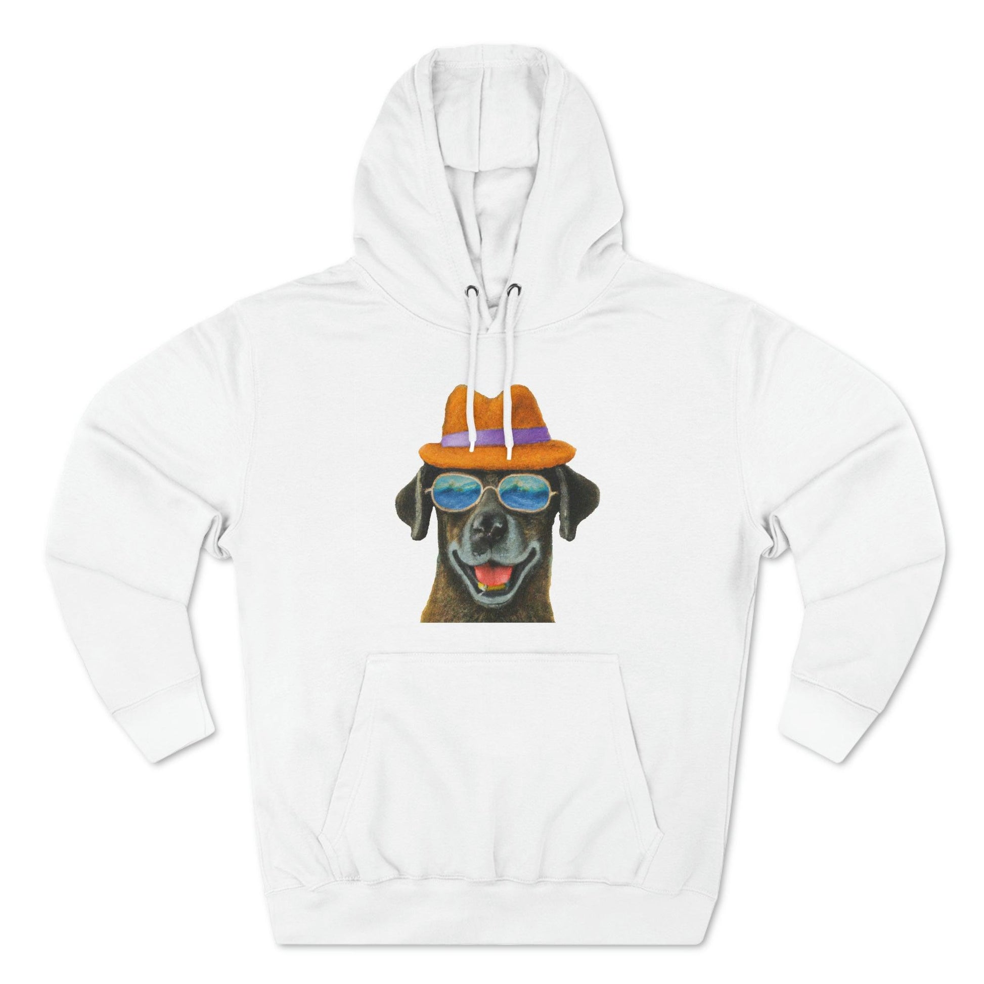 Dog at the beach wearing a hat and sunglasses painted arts Premium Pullover Hoodie - Giftsmojo