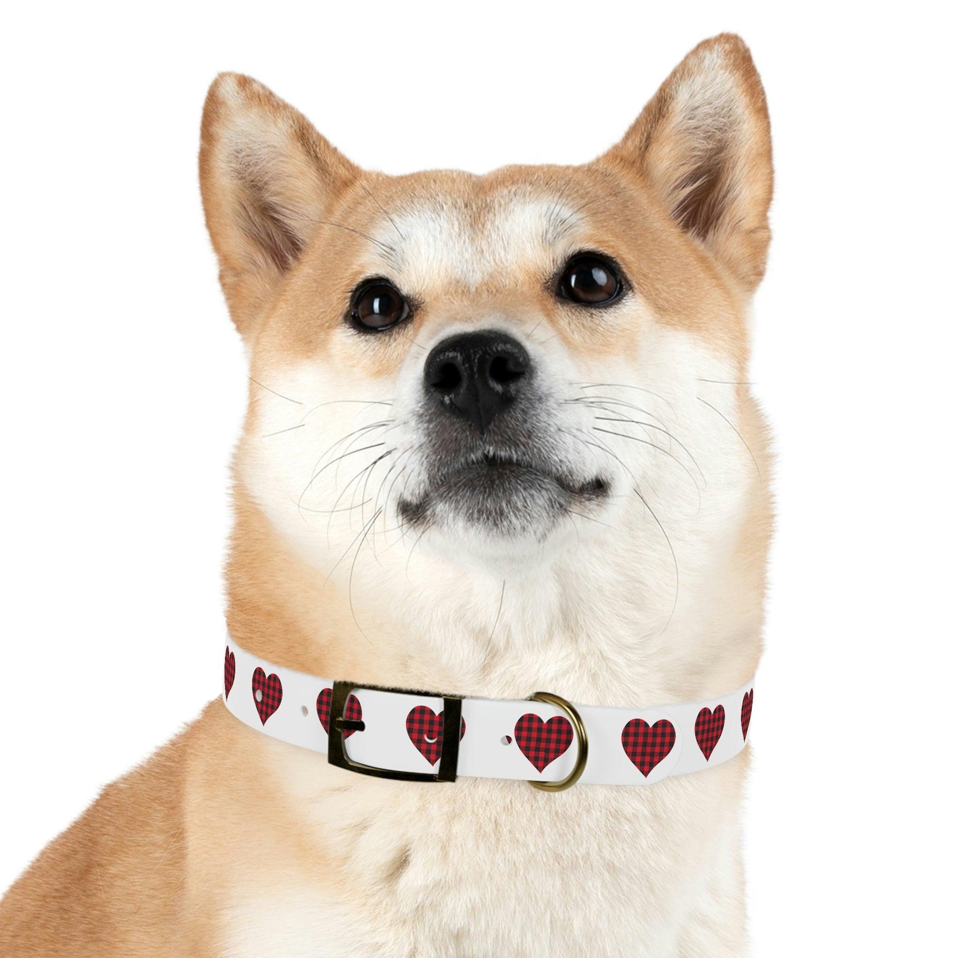 Dog Collar - Giftsmojo